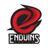 P_ENDUINS